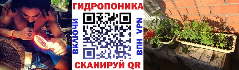 как найти закладки  Уварово  Конопля планчик 